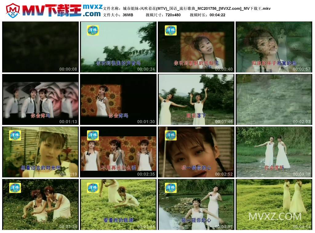 城市姐妹-风吹着花(MTV)_国语_流行歌曲_MC201756